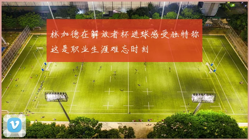 林加德在解放者杯进球感受独特称这是职业生涯难忘时刻