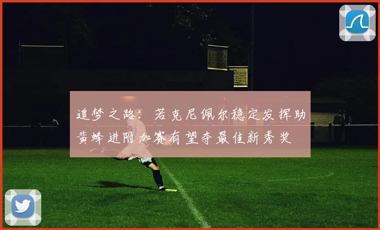 追梦之路：若克尼佩尔稳定发挥助黄蜂进附加赛有望夺最佳新秀奖