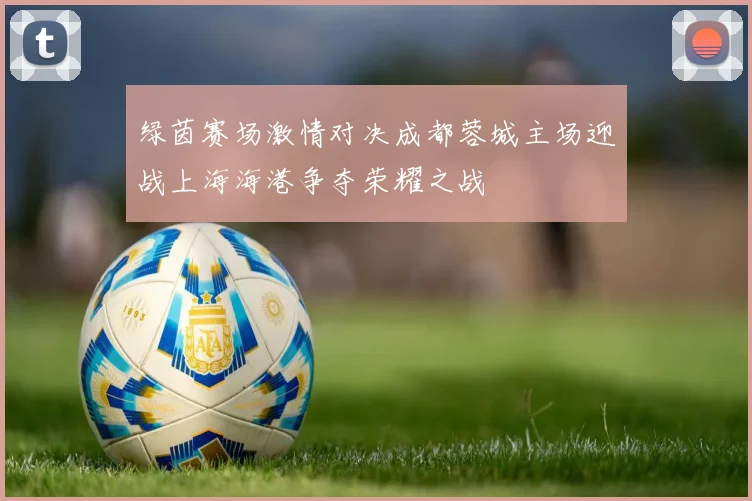 绿茵赛场激情对决成都蓉城主场迎战上海海港争夺荣耀之战